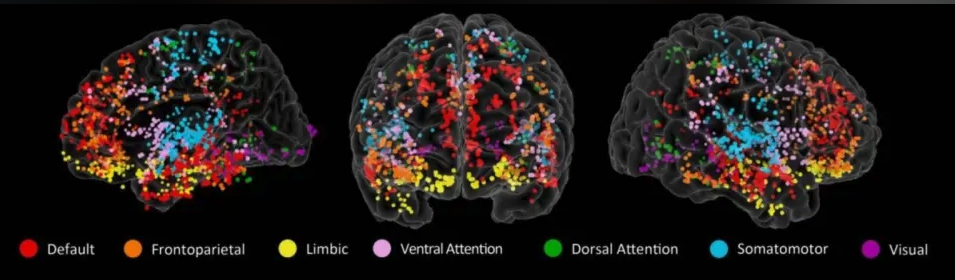 探求人体奥秘，了解大脑是如何工作的？