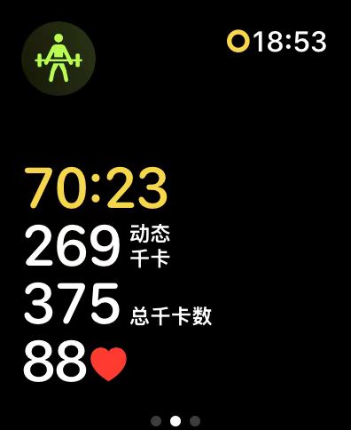 训练记录