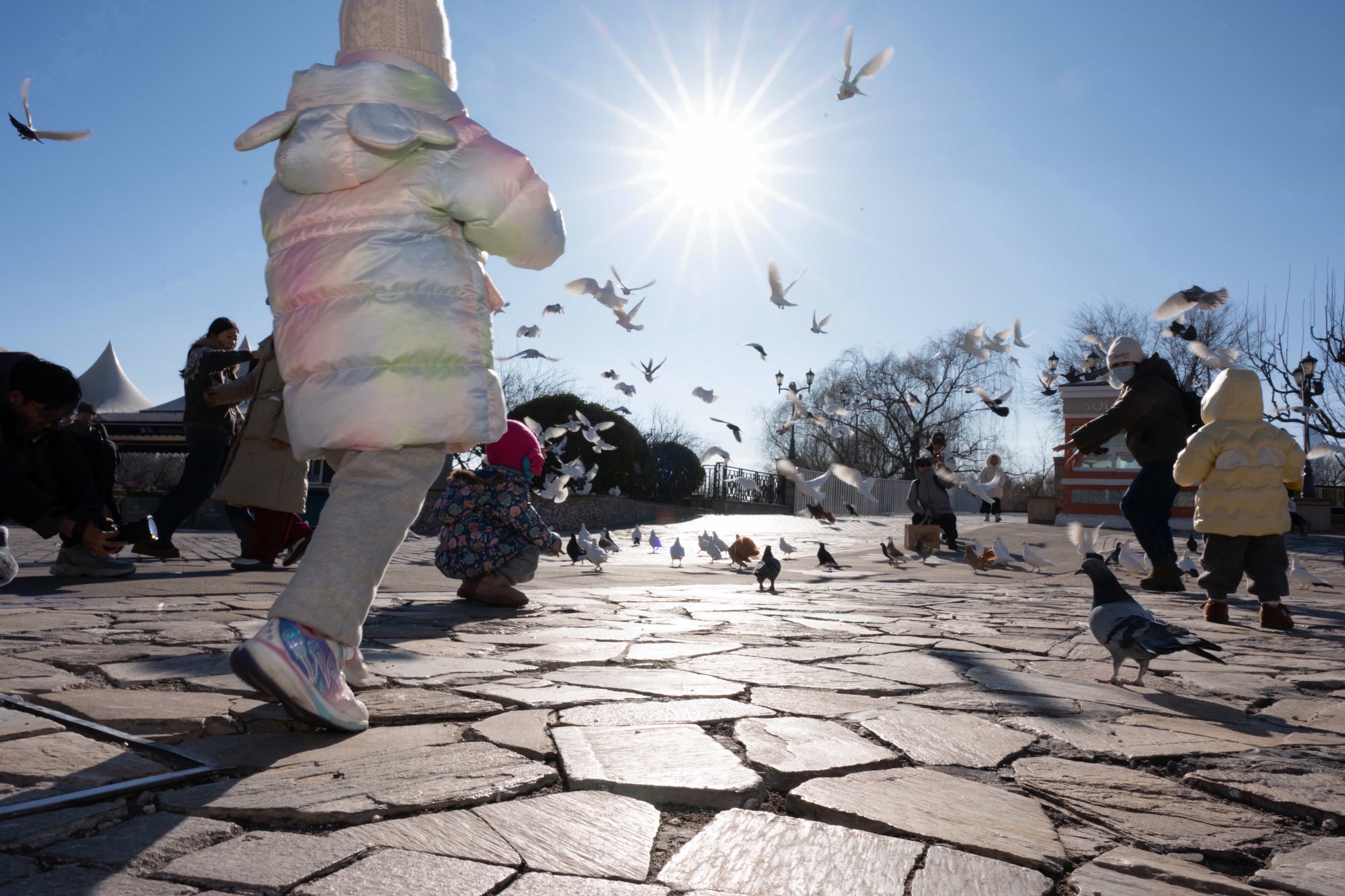 史蒂夫·麦柯里 - 人文纪实