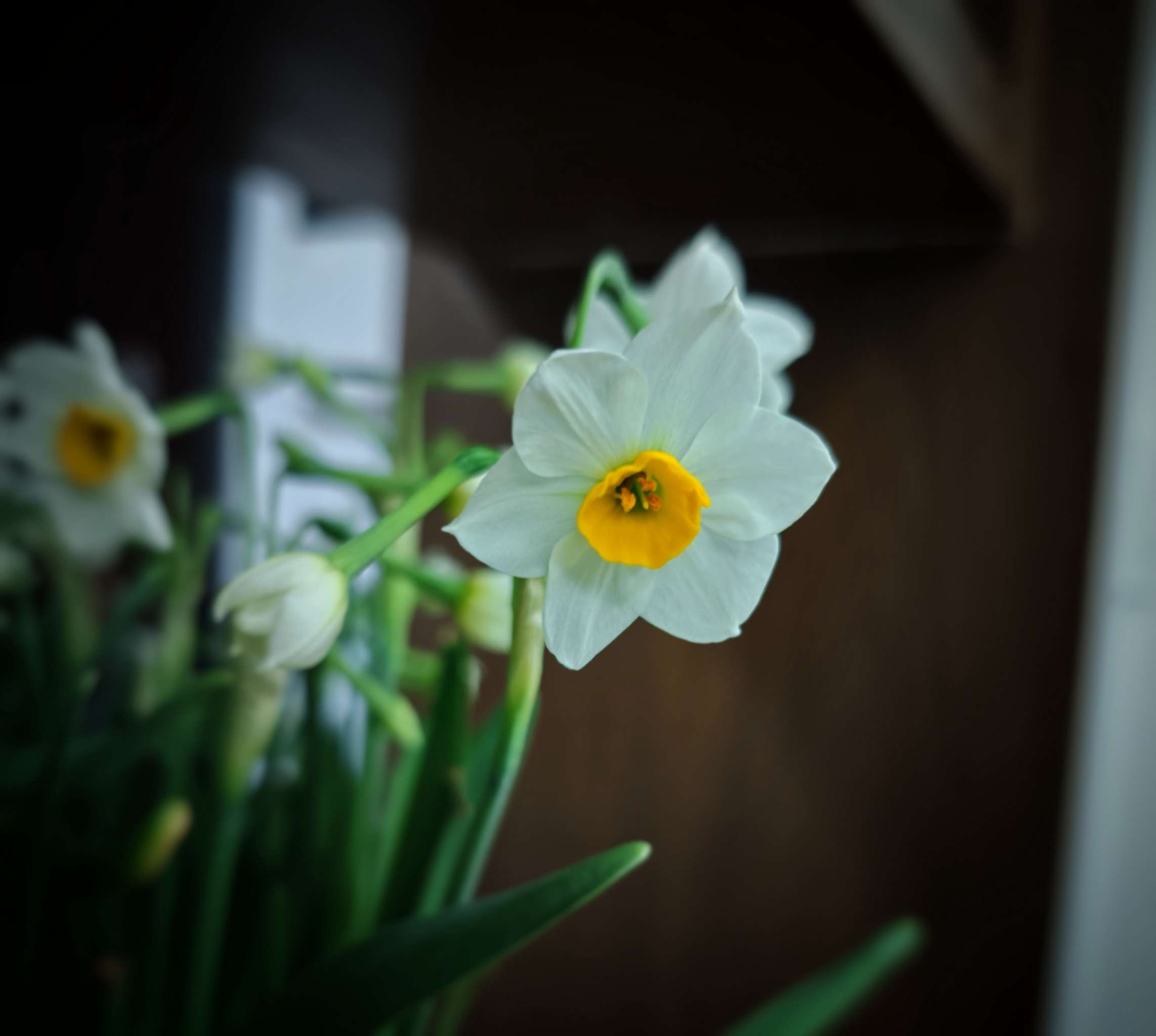 拍摄于自家，已授权视觉中国，<br>VCG211622380600