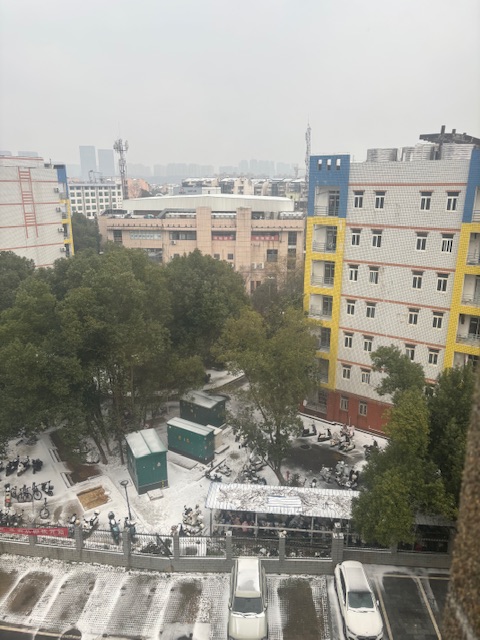 雪