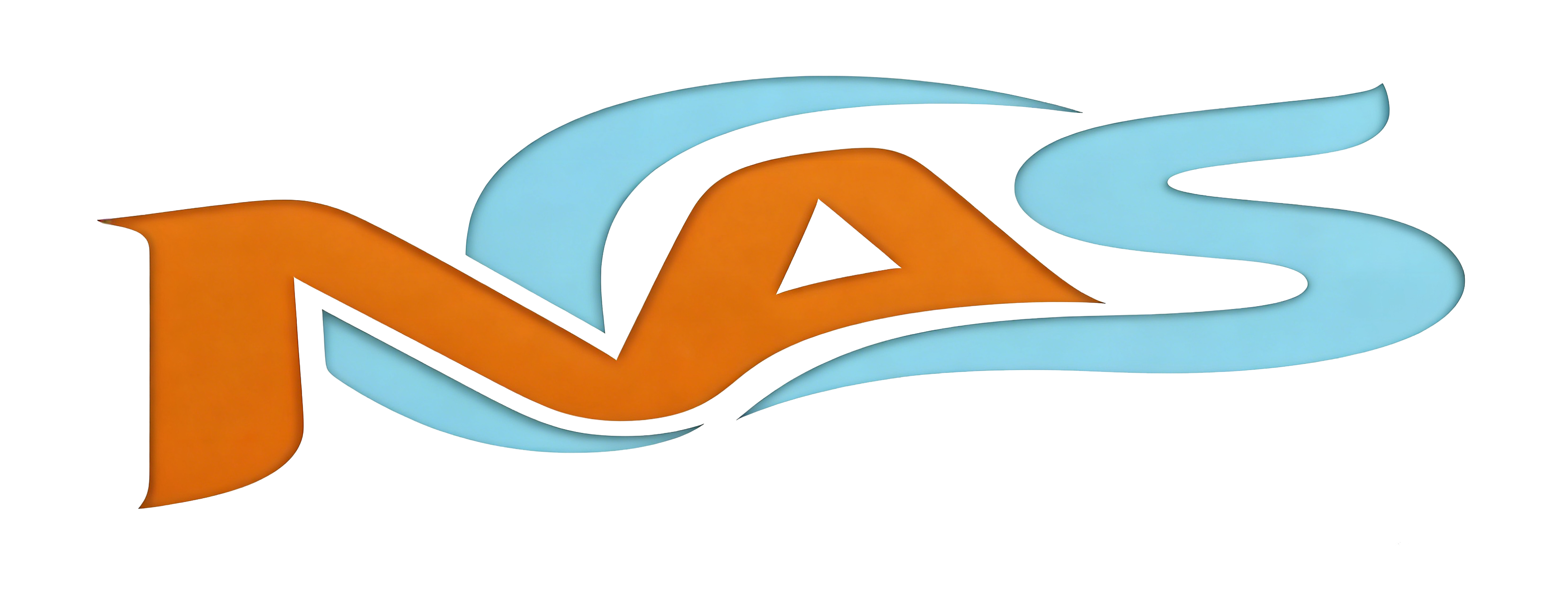 NAS-AE Logo
