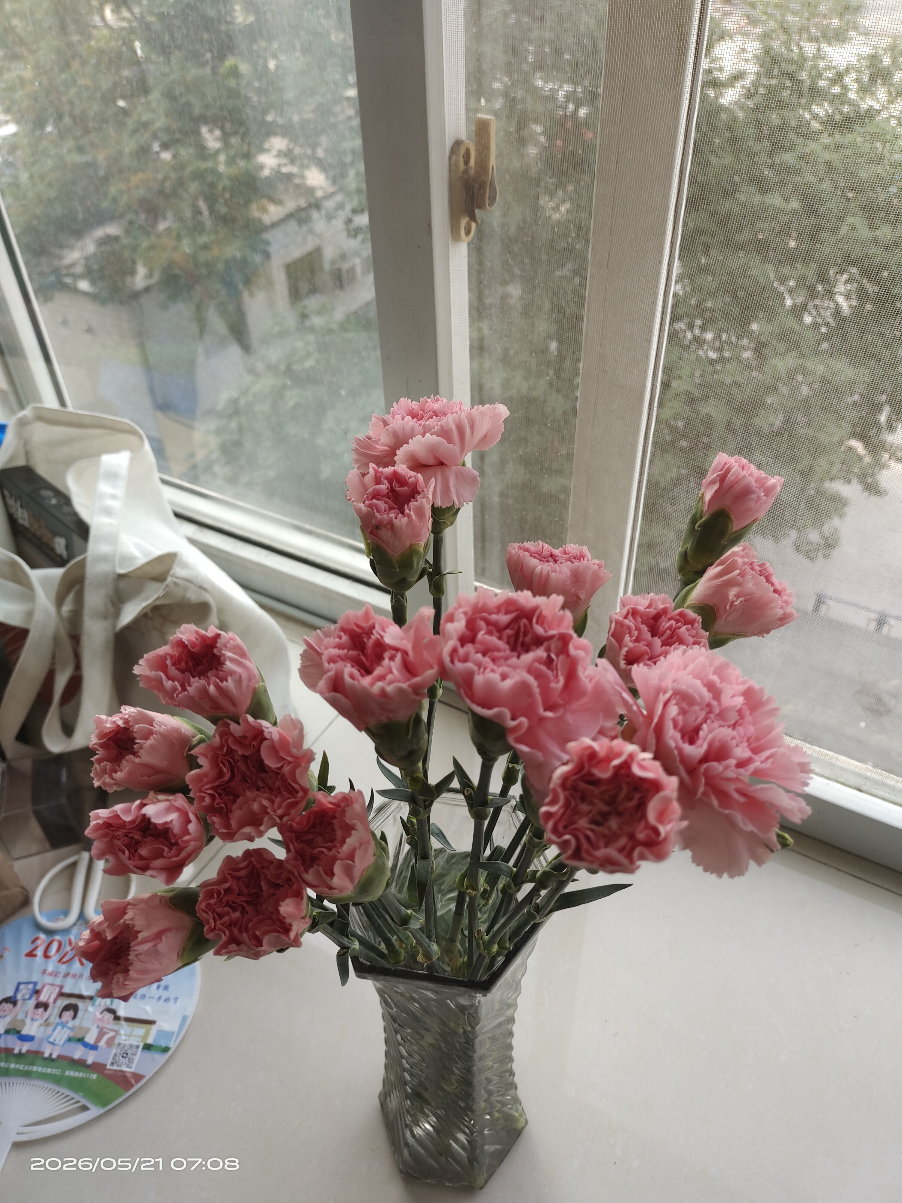IMG 20260521 070809