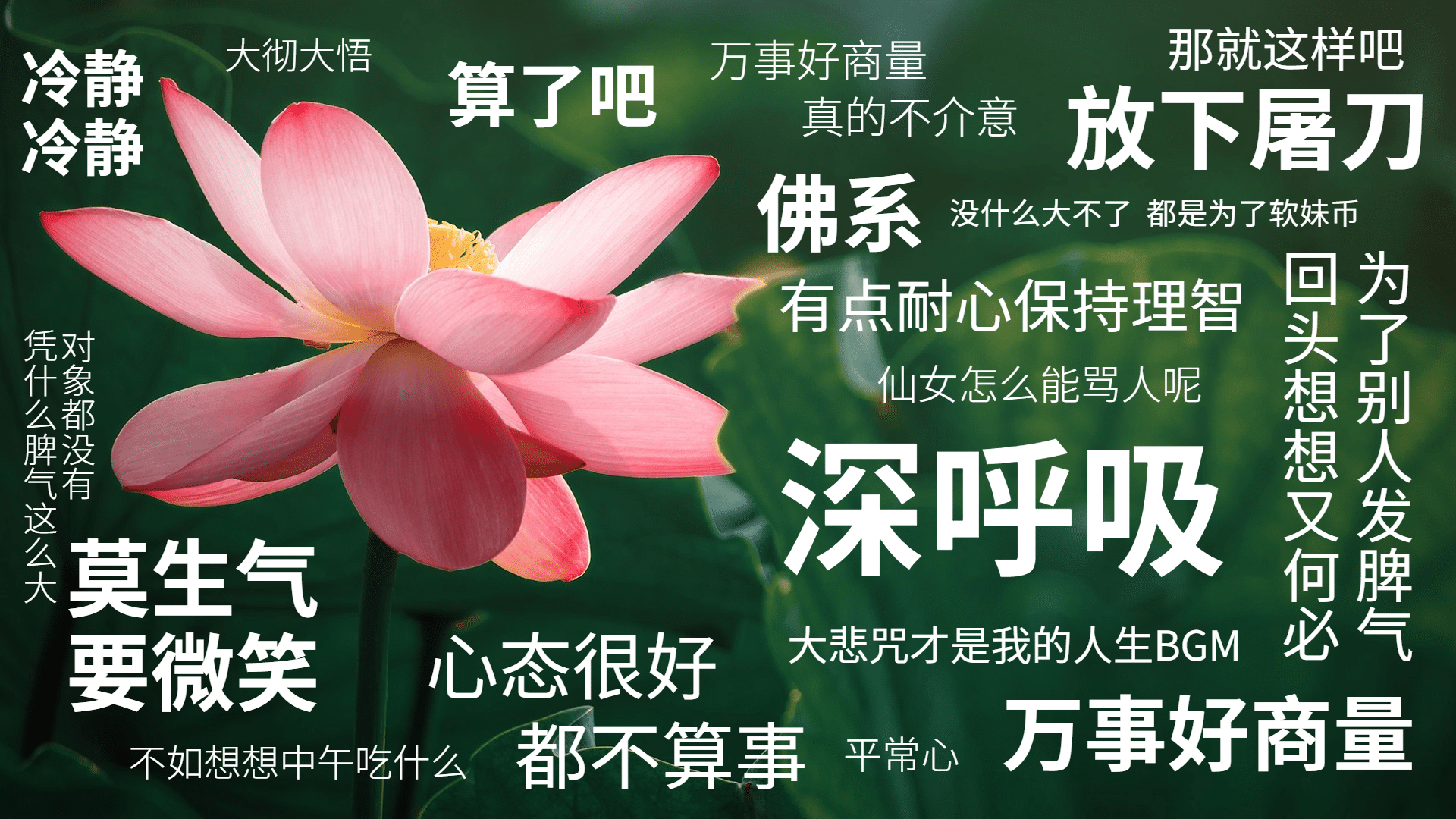 80后的苦逼