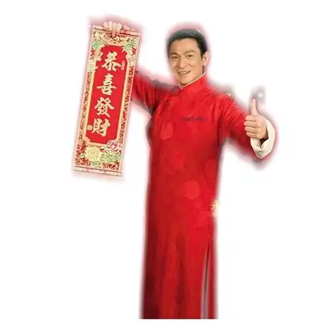 刘德华解冻
