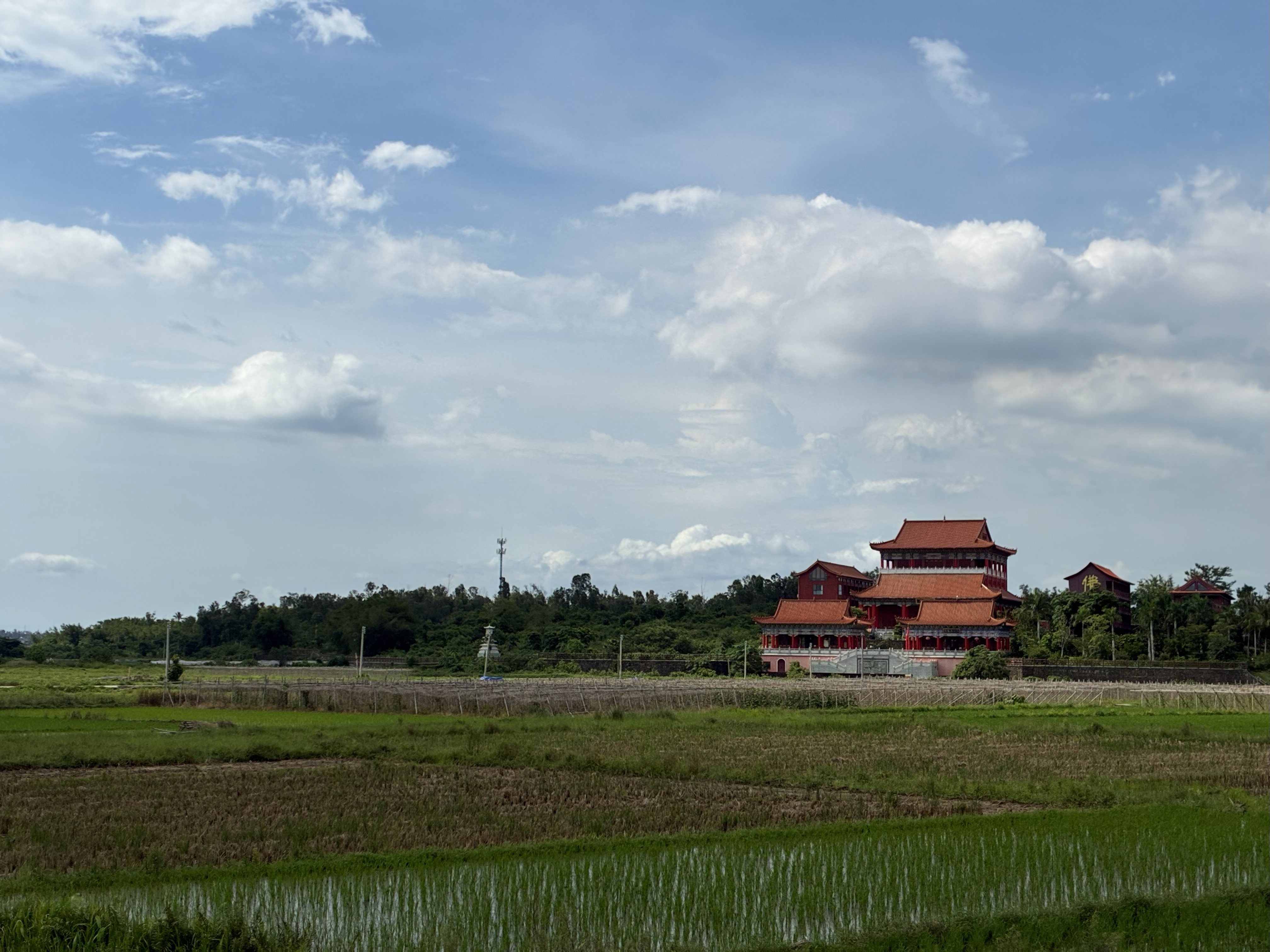夏日·田园·微风