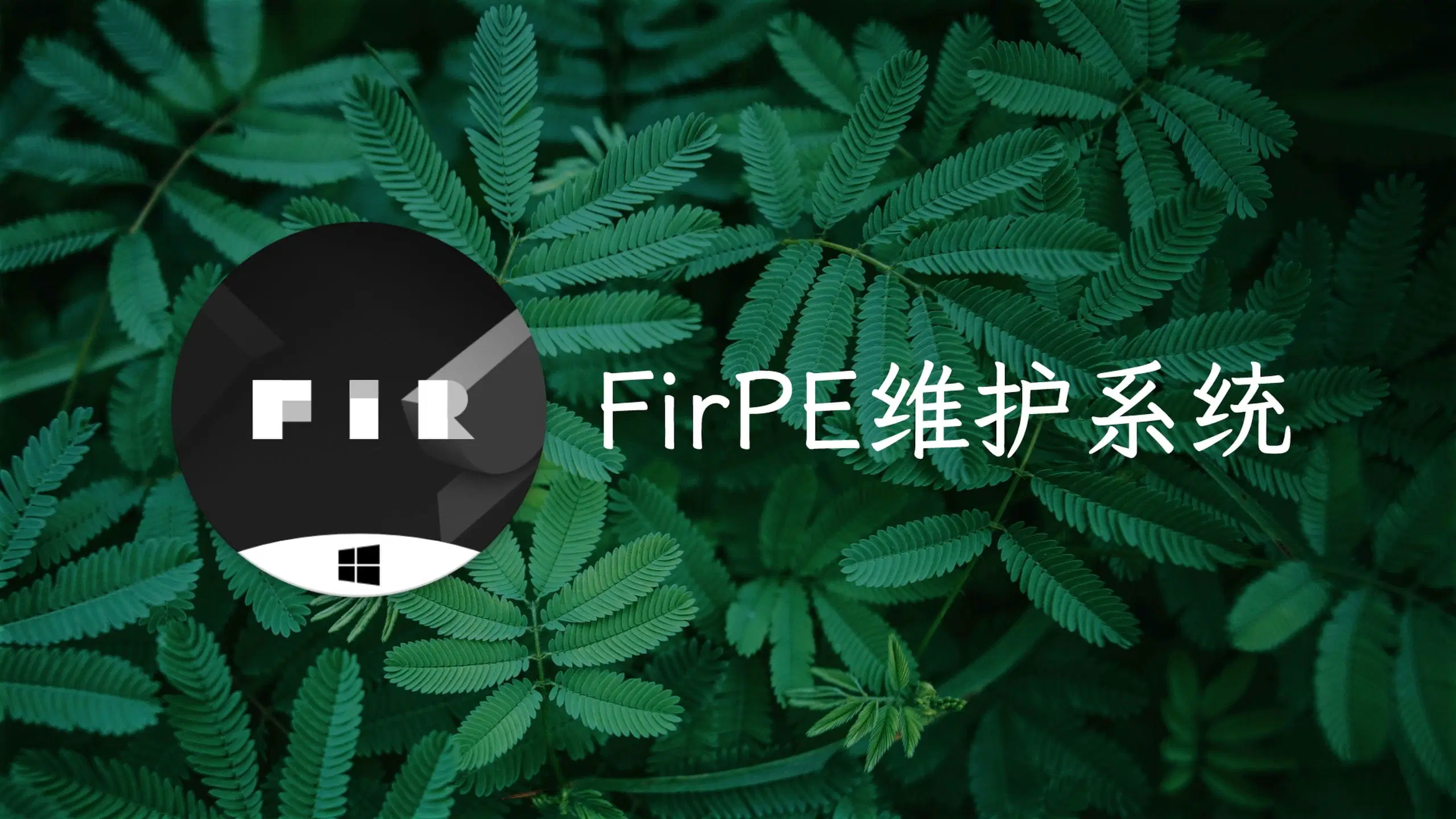 Fir PE维护系统