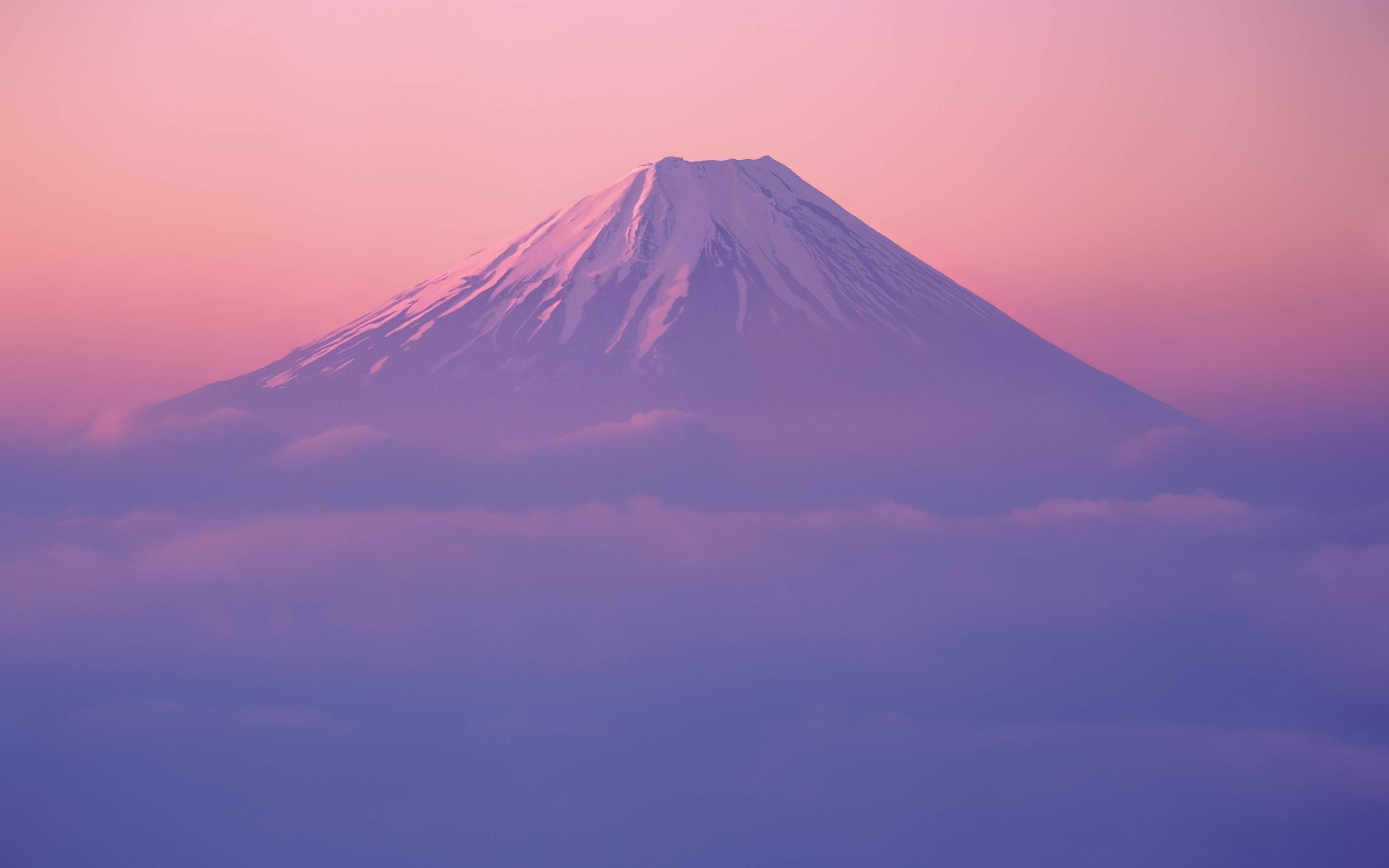 随机封面