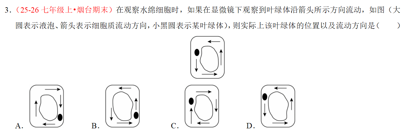 pnkaPOO.png